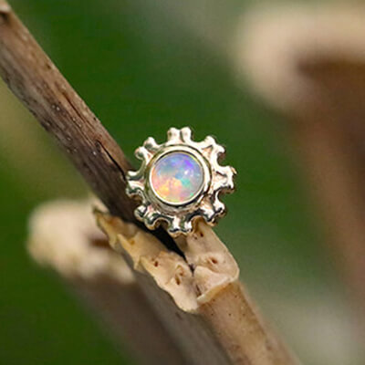 BVLA -body vision los angeles-