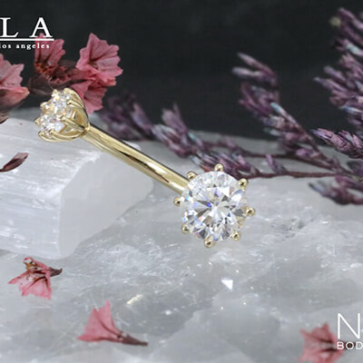 BVLA -body vision los angeles-