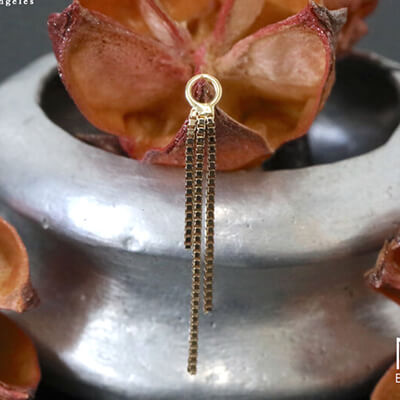 BVLA -body vision los angeles-