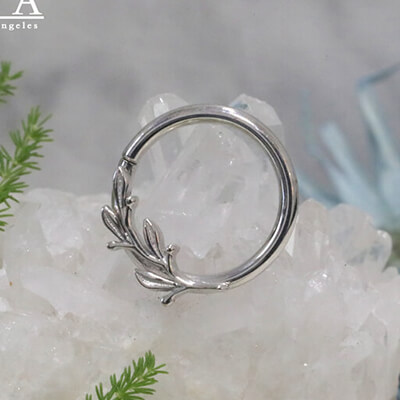 BVLA -body vision los angeles-