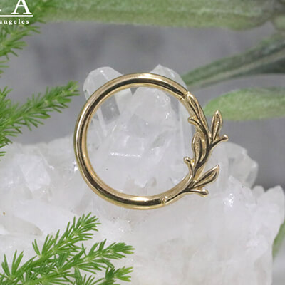 BVLA -body vision los angeles-