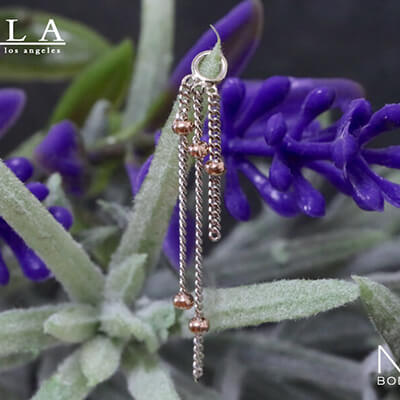 BVLA -body vision los angeles-