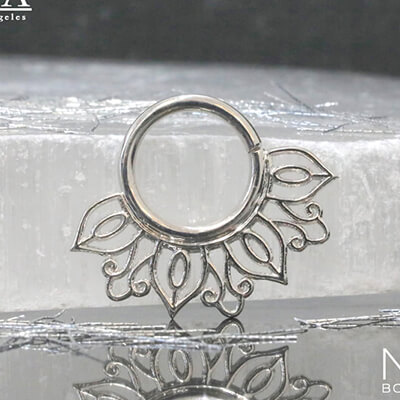 BVLA -body vision los angeles-