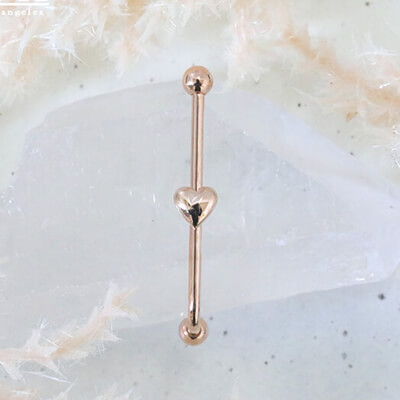 BVLA -body vision los angeles-