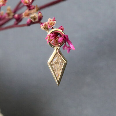 BVLA -body vision los angeles-