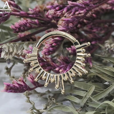 BVLA -body vision los angeles-