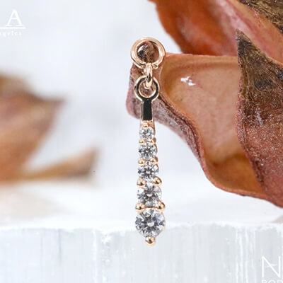 BVLA -body vision los angeles-